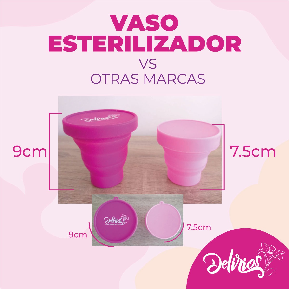 Vaso Esterilizador